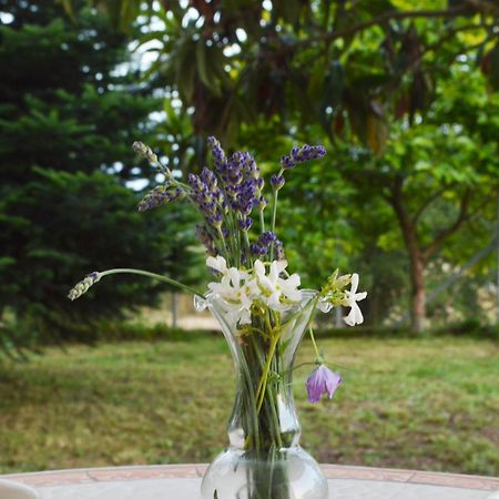 Sunny Retreat With A Garden Terrace Private Room Ioannina Ngoại thất bức ảnh
