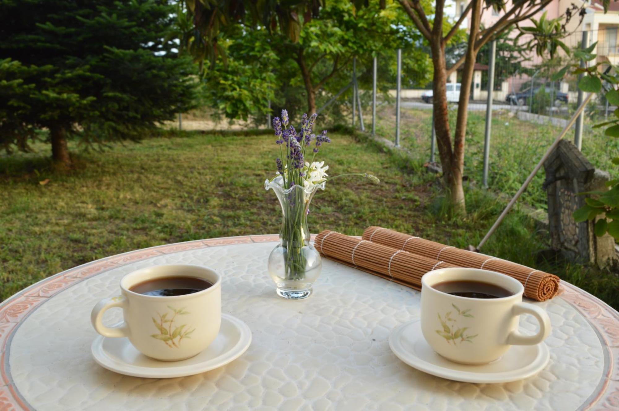 Sunny Retreat With A Garden Terrace Private Room Ioannina Ngoại thất bức ảnh