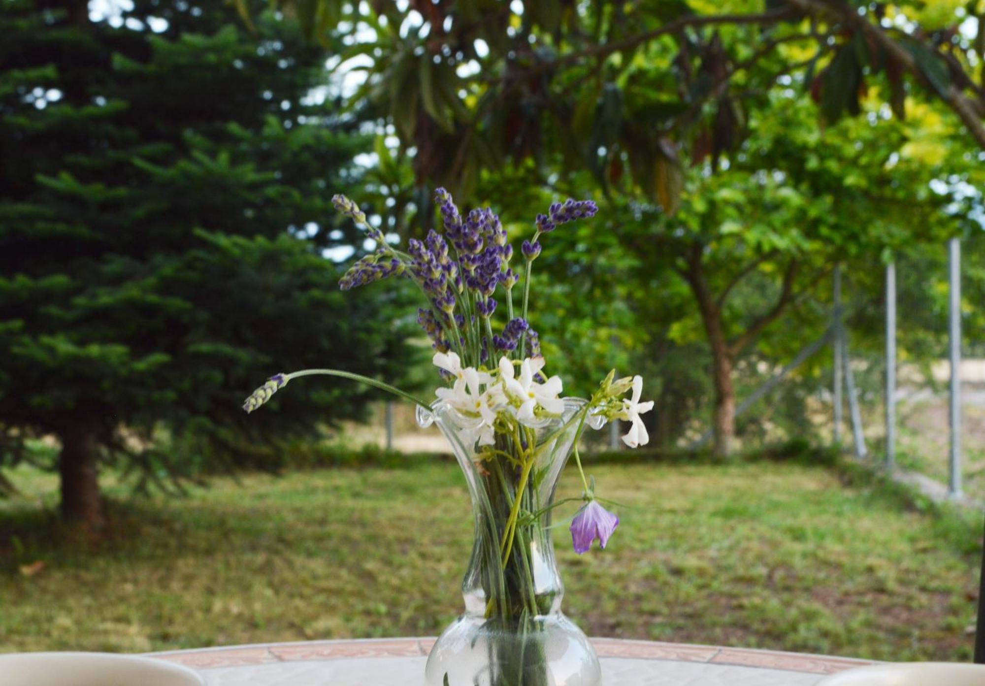 Sunny Retreat With A Garden Terrace Private Room Ioannina Ngoại thất bức ảnh